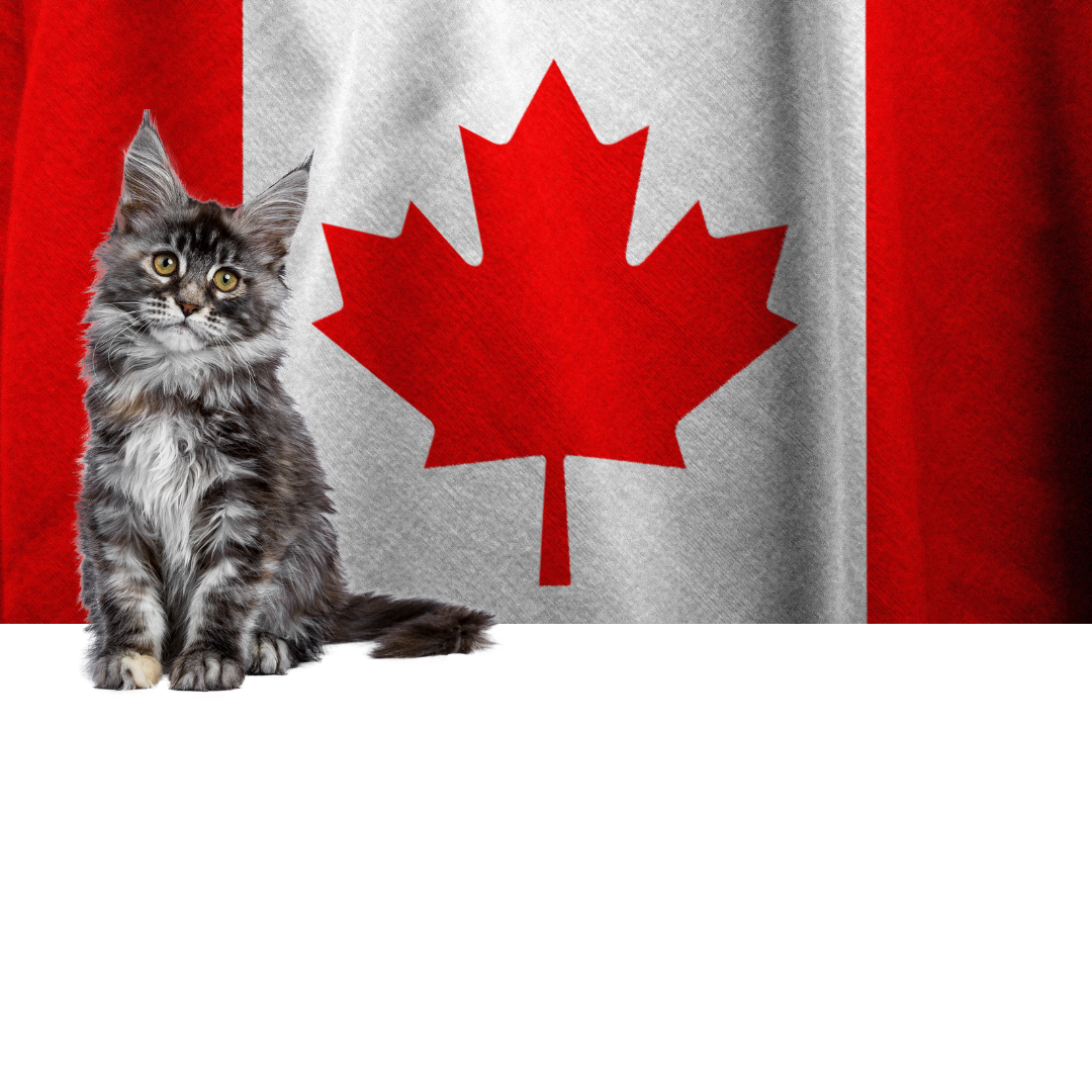 Picture for category Canadian Made Cat Food